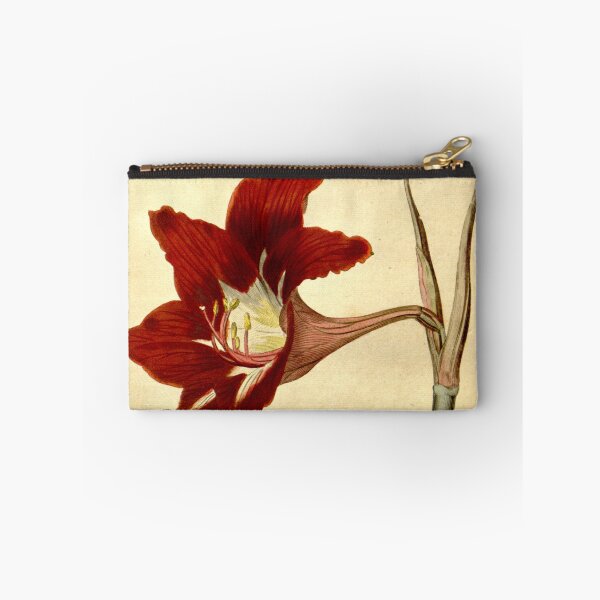 Item preview, Amaryllis Equestris. Barbadoes Amaryllis, or Lily.  designed and sold by vintagerepros.