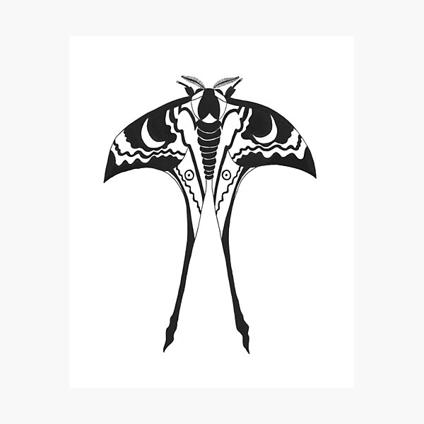 Item preview, Moon Moth (ink illustrations of weird animals that are real) designed and sold by InkDier.