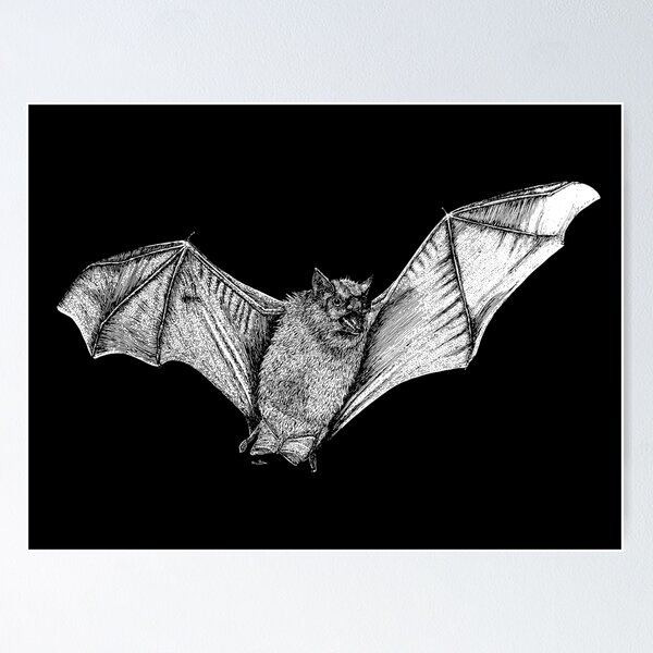 Item preview, Little brown bat designed and sold by Nina McDonnell.