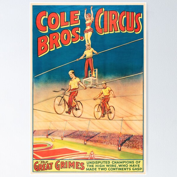 Artikelvorschau, COLE CIRCUS BROS Das Vintage-Poster von Great Grimes Acrobatic and Aerialists entworfen und verkauft von retroposters.
