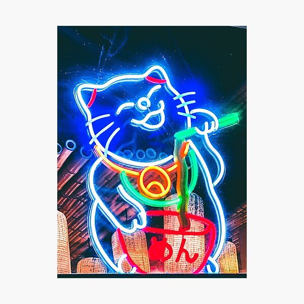 Japanese Cat Photographic Print