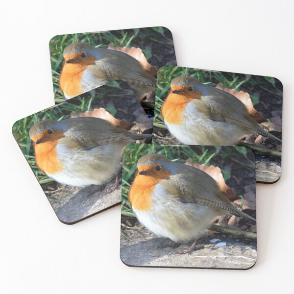 Item preview, Robin designed and sold by Photography  by Mathilde.