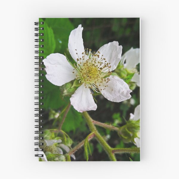 Item preview, Bramble flower in full bloom designed and sold by ArtisticMishaps.