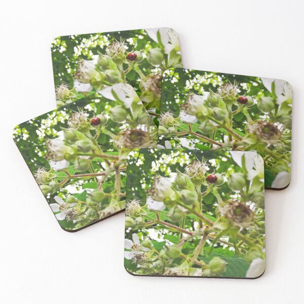Item preview, Ladybird on a Bramble designed and sold by ArtisticMishaps.