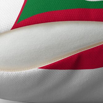 Aperçu 2 sur 3. Coussin avec l'œuvre Drapeau des Maldives créée et vendue par Shorlick.