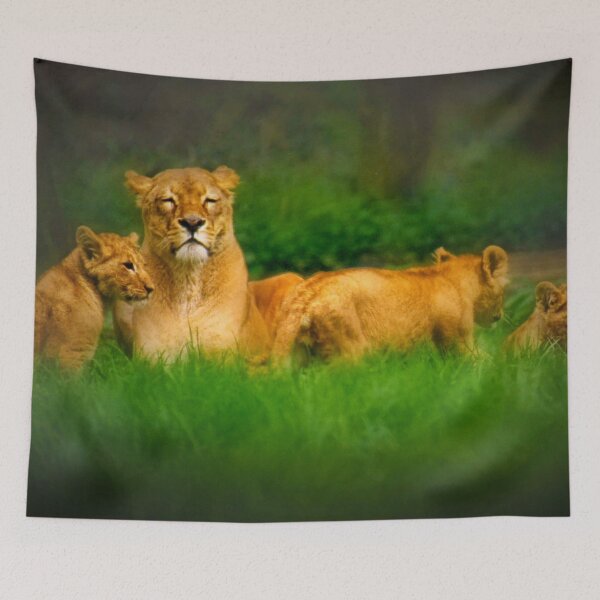 Item preview, Cat napping designed and sold by missmoneypenny.