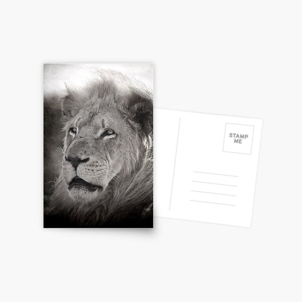 The Old King IV Postcard