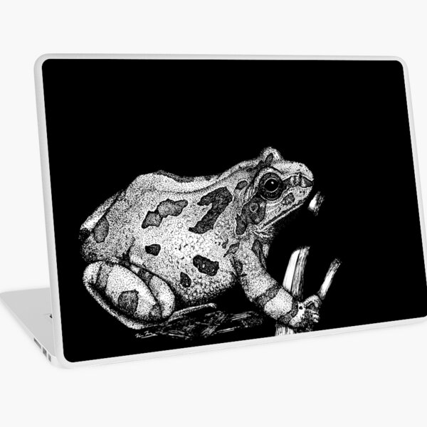 Strecker's chorus frog Laptop Skin