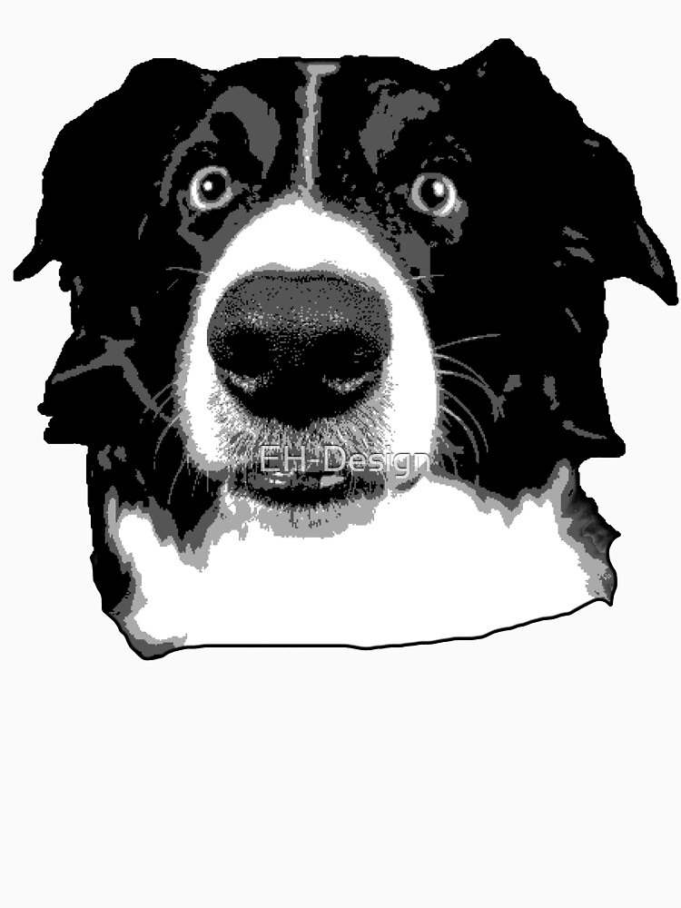 Border Collie Face von EH-Design