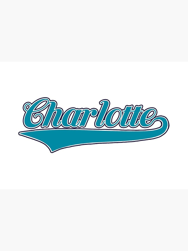 CHARLOTTE HORNETS BASEBALL - CHARLOTTE, NC