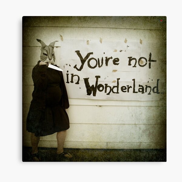 Not Wonderland Canvas Print