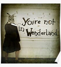 Not Wonderland Poster