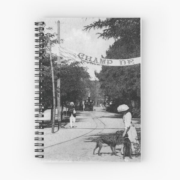 Item preview, Saint-Palais-sur-Mer 1900 designed and sold by Francois Richet.