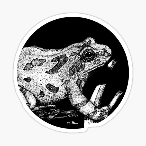 Chorus frog II Sticker