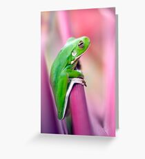 Froggie in the pink Greeting Card