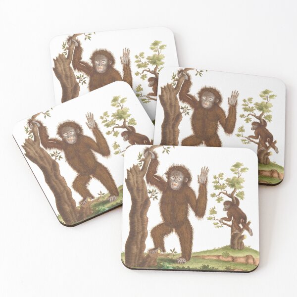 Artikelvorschau, Sumatra Orang-Utans Vintage entworfen und verkauft von AntiqueImages.