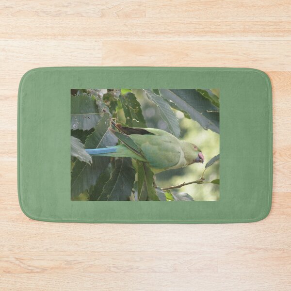 Item preview, Stretching Ring Necked Parakeet Photograph designed and sold by naturegallery.
