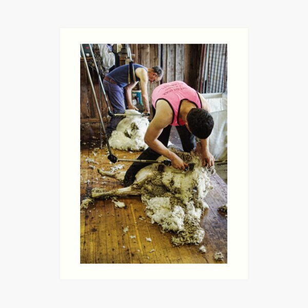 CONTRAST OF SHEARING WORLDS Art Print