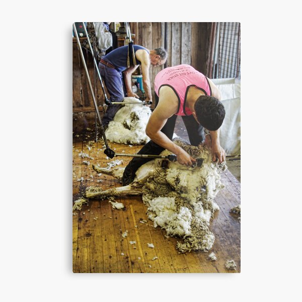 CONTRAST OF SHEARING WORLDS Metal Print