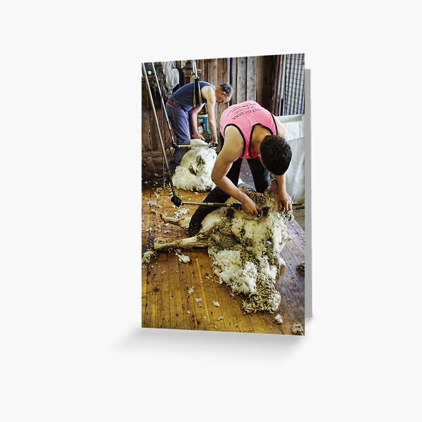 CONTRAST OF SHEARING WORLDS Greeting Card