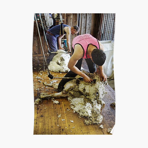 CONTRAST OF SHEARING WORLDS Poster