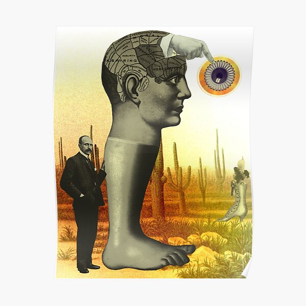 The Desert of Earthly Indifferences Poster