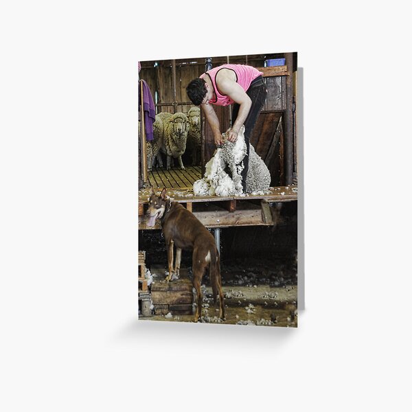LEARNING THE ROPES Greeting Card