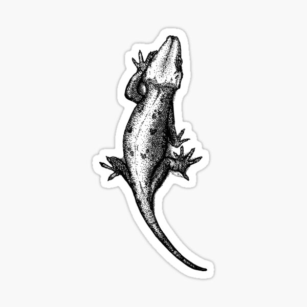 Gargoyle gecko Sticker
