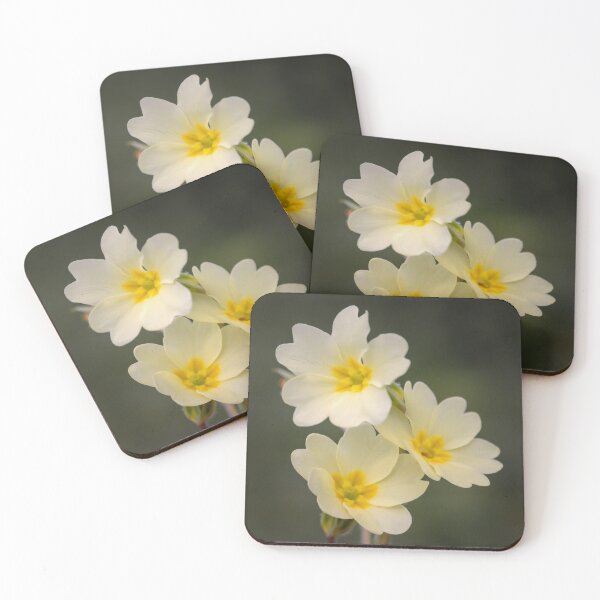 Item preview, Primroses designed and sold by JEZ22.