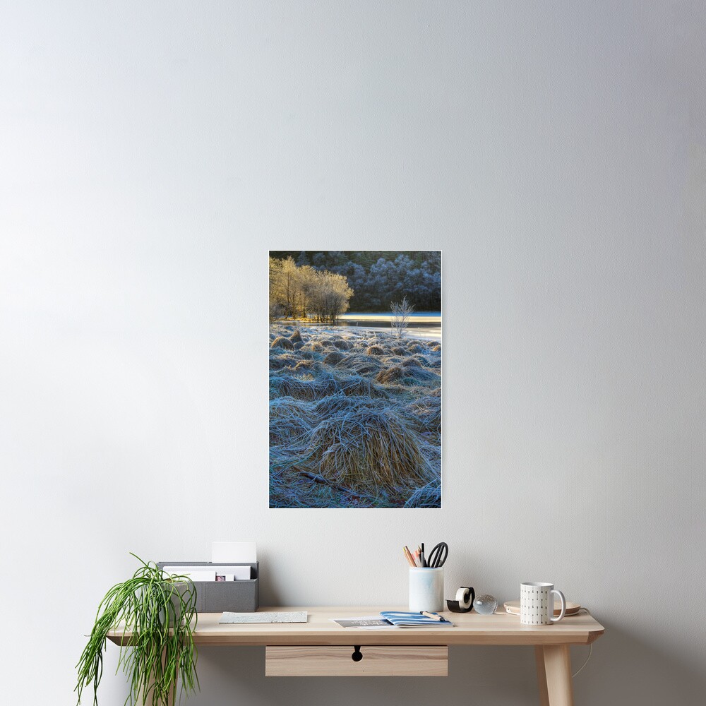 Chon Frost (1) Poster
