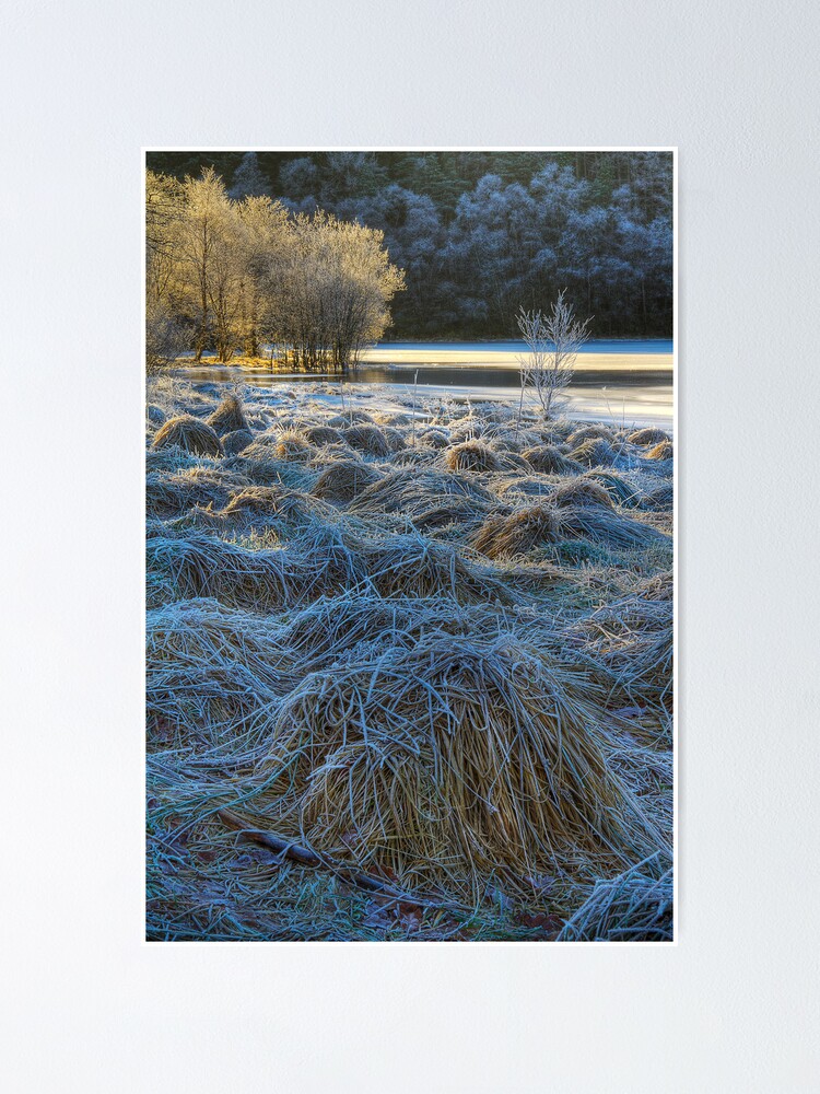 Alternate view of Chon Frost (1) Poster