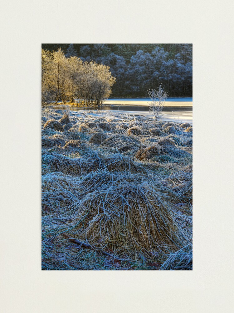 Alternate view of Chon Frost (1) Photographic Print