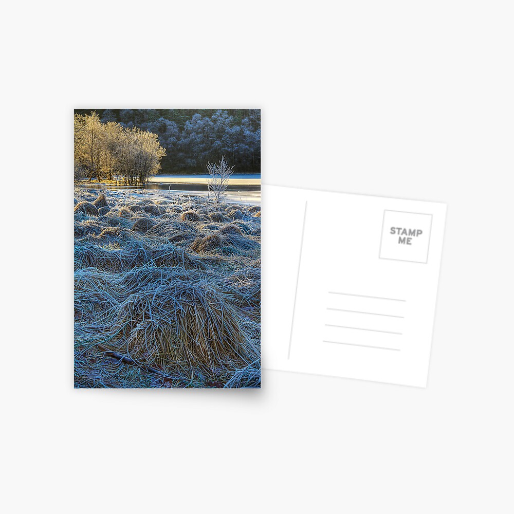 Chon Frost (1) Postcard