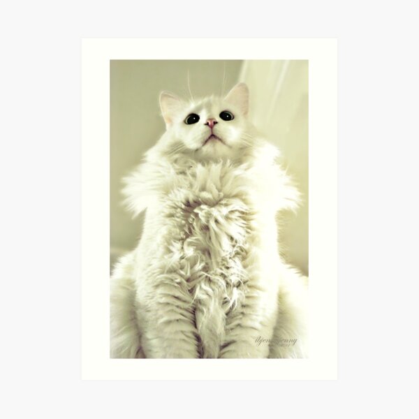 Spoiled Bratty Kitty Art Print