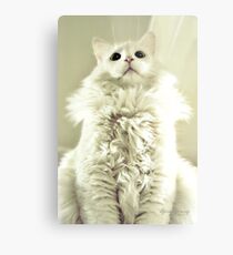Spoiled Bratty Kitty Metal Print