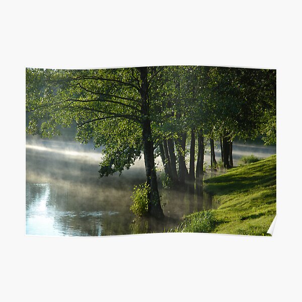 Trees in water at misty morning Poster