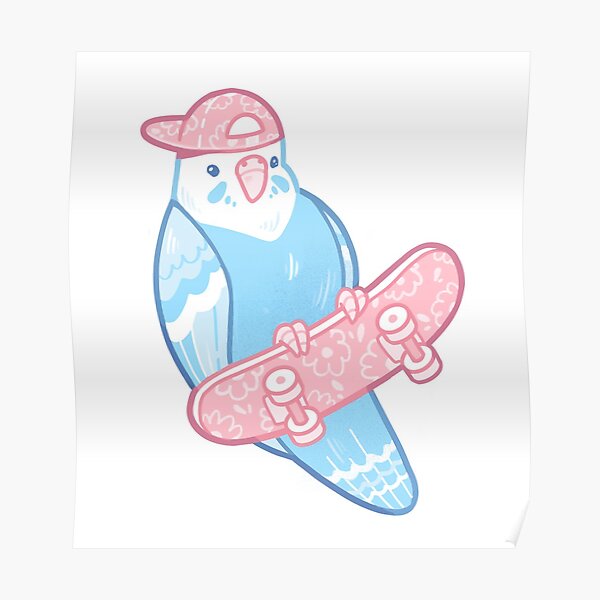 Pink and Blue Coo Bird Poster