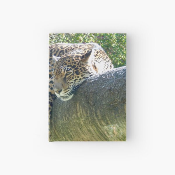 Lounging Jaguar Hardcover Journal
