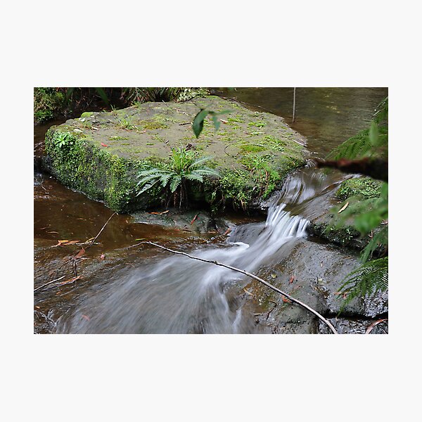 Item preview, Silky Flow - Leura Cascades NSW Australia designed and sold by Bev Woodman.