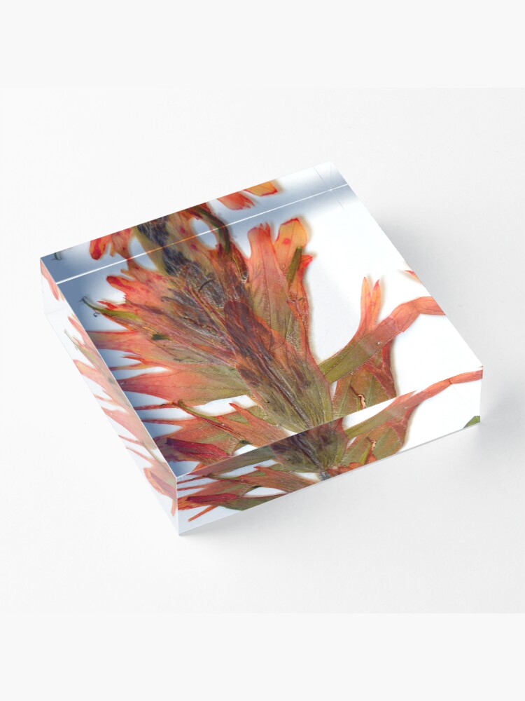 Alternate view of Member 4 Acrylic Block