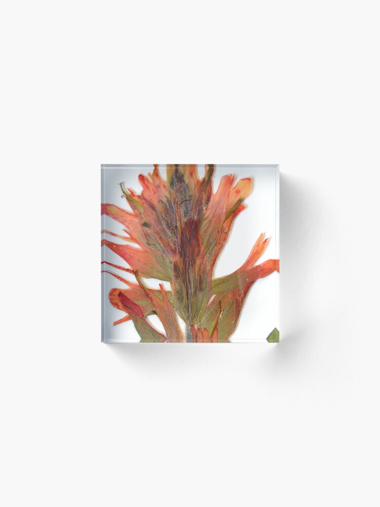 Alternate view of Member 4 Acrylic Block