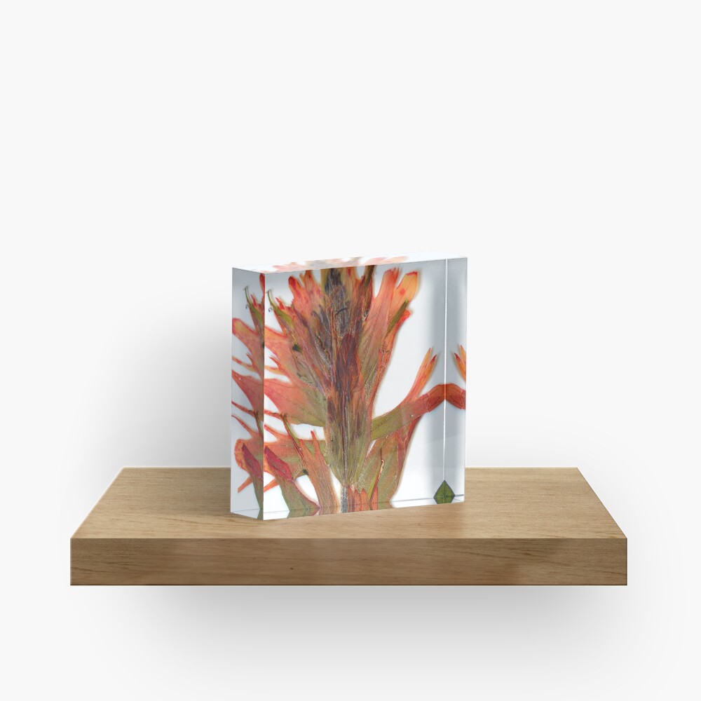 Member 4 Acrylic Block
