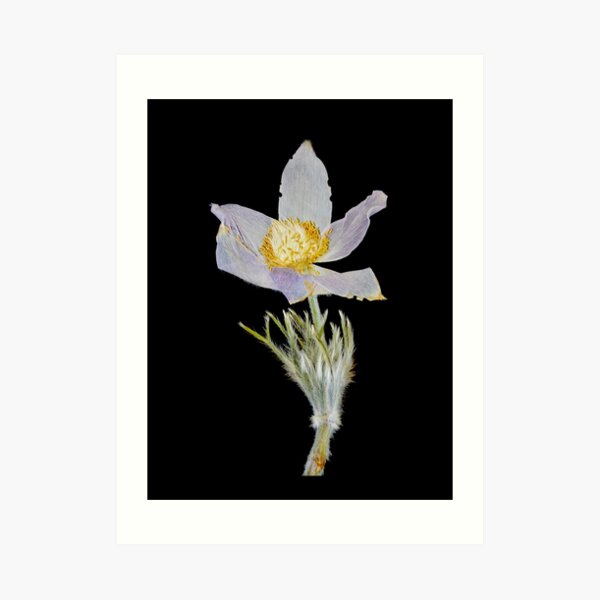 Member 3 Art Print