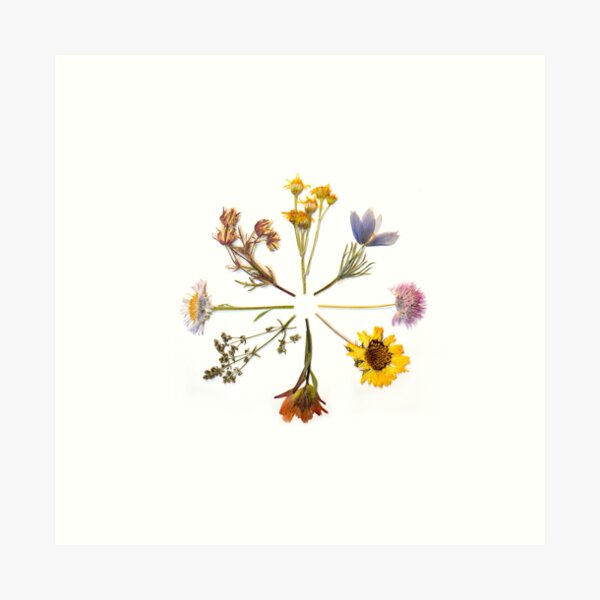 Spring Time Art Print