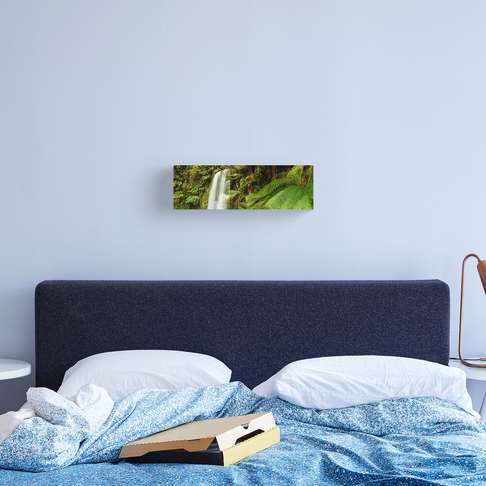 Beachamp Falls, Otways, Victoria, Australia Canvas Print