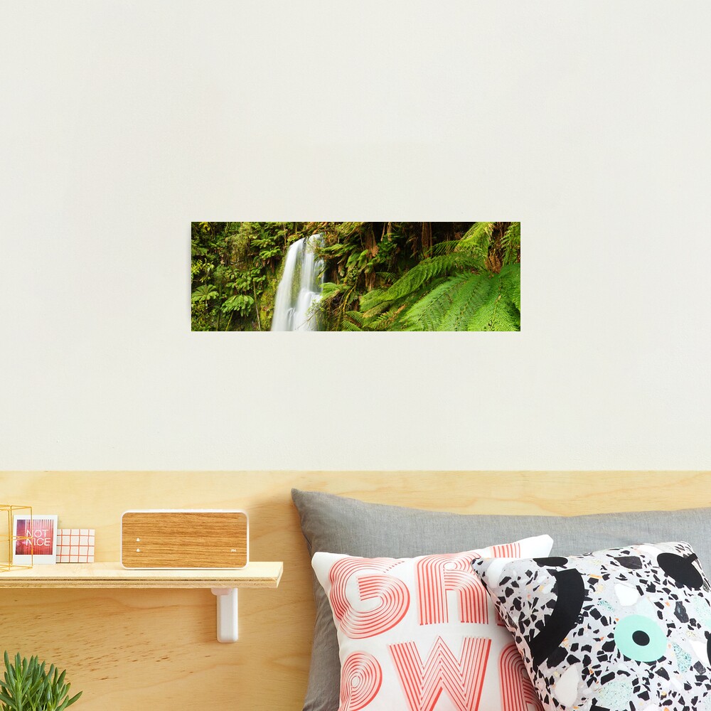 Beachamp Falls, Otways, Victoria, Australia Photographic Print