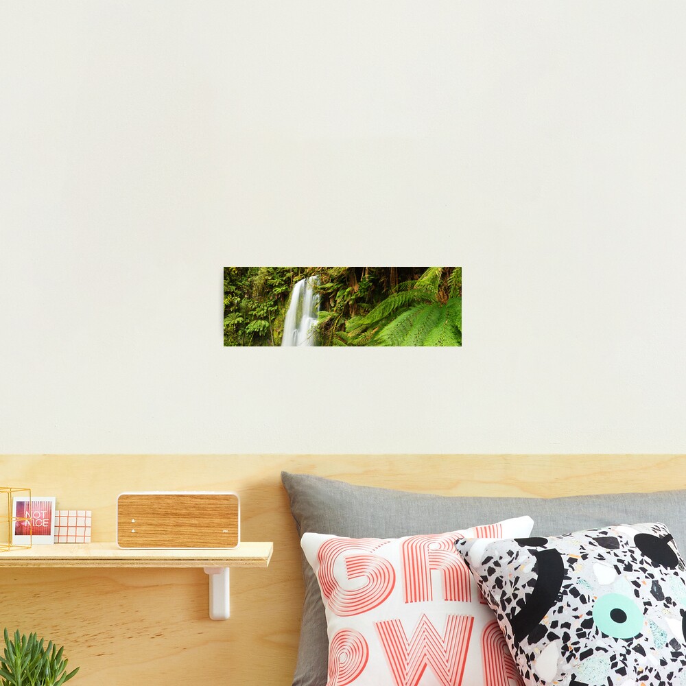 Beachamp Falls, Otways, Victoria, Australia Photographic Print
