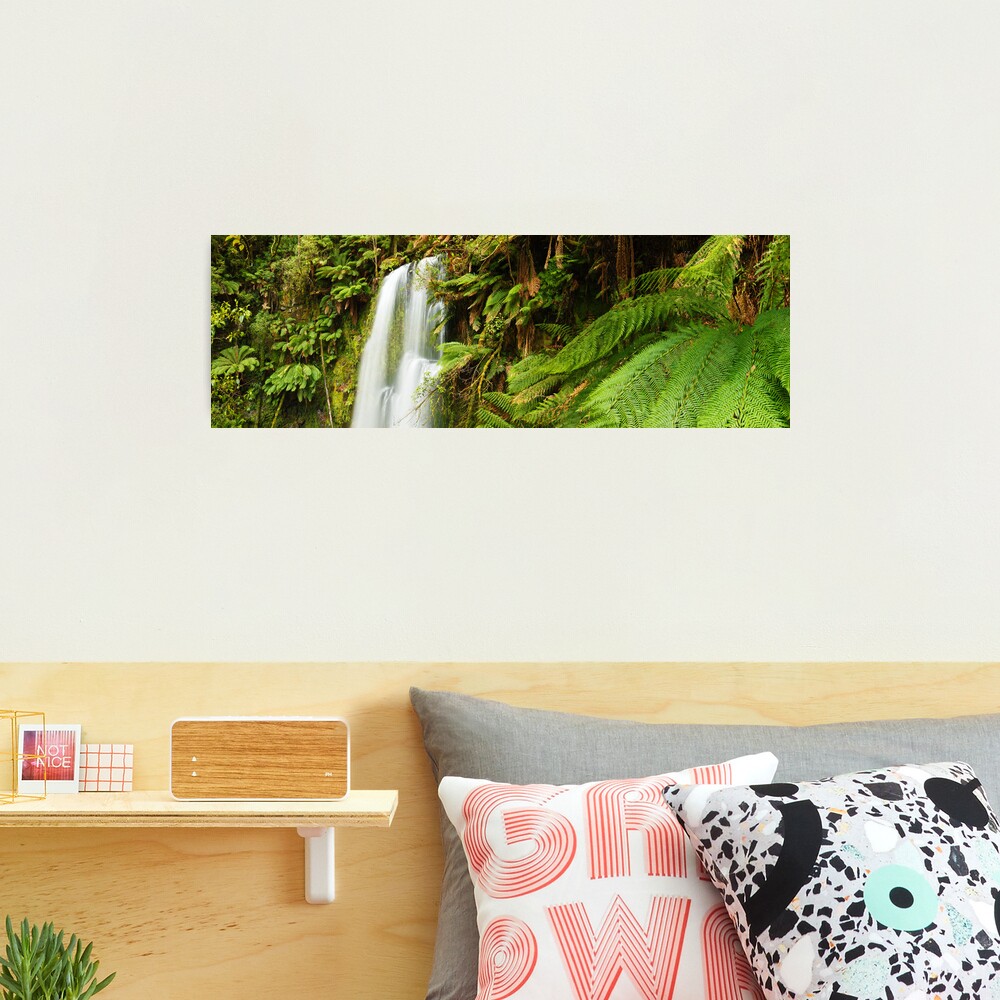 Beachamp Falls, Otways, Victoria, Australia Photographic Print
