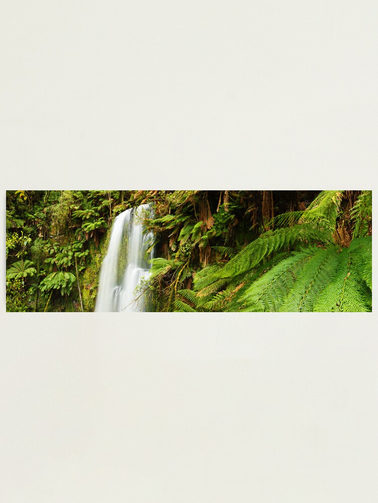 Alternate view of Beachamp Falls, Otways, Victoria, Australia Photographic Print