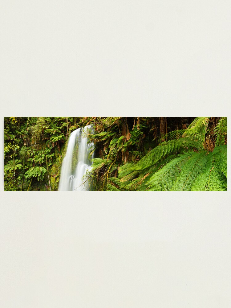 Alternate view of Beachamp Falls, Otways, Victoria, Australia Photographic Print